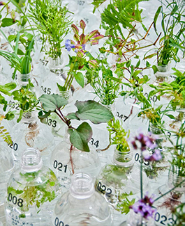 實(shí)驗(yàn)研究