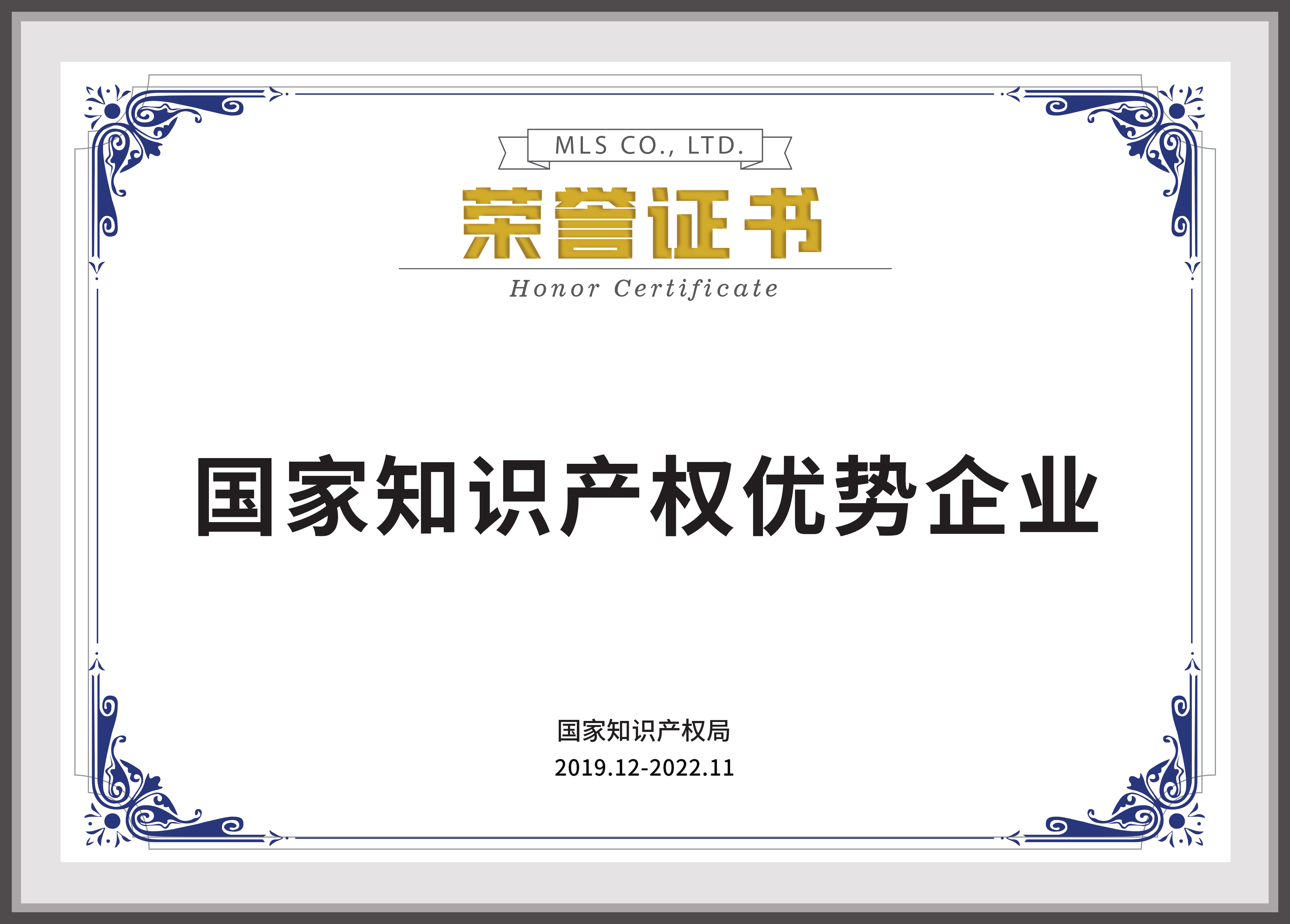 國家知識產權優(yōu)勢企業(yè)
